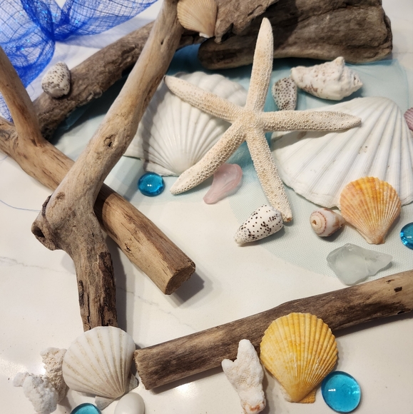 Hawaiian Driftwood, Shells and Seaglass Coastal Beach Craft Items - Picture 3 of 12